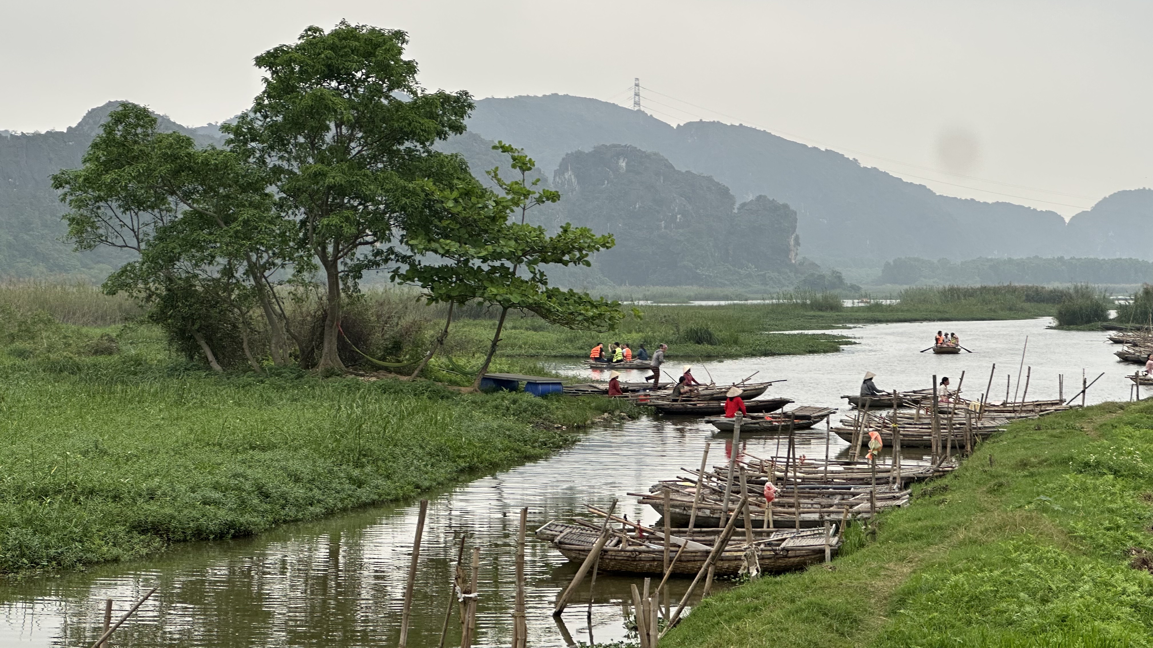 Traditional wooden boat rowing through the serene Van Long wetlands